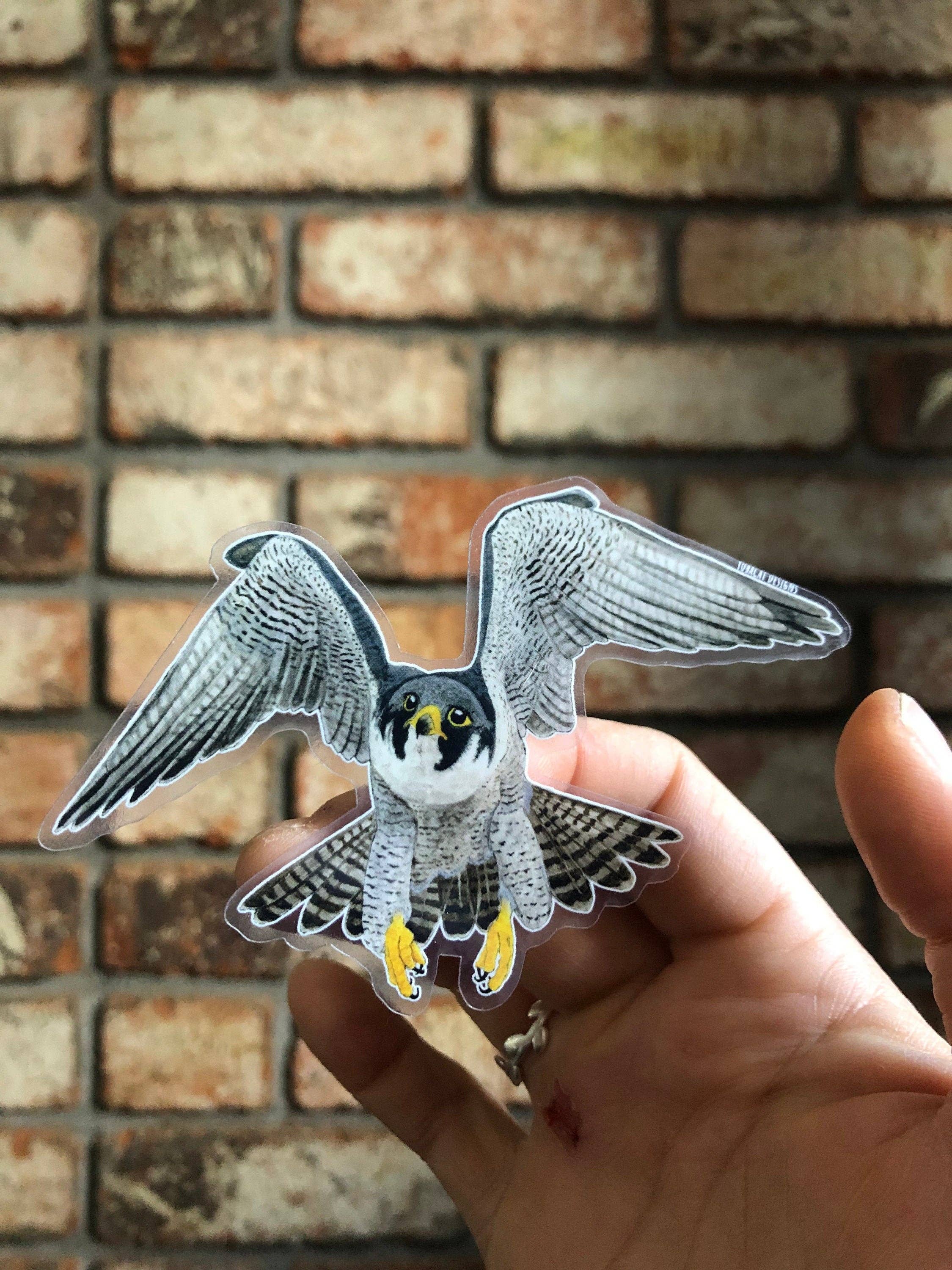 YubaCat Designs - Wholesale Sticker - Peregrine Falcon sticker2
