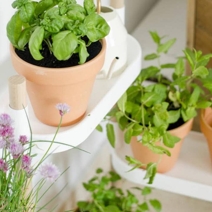 CitySens - Vendita all'ingrosso Mensole da parete - CitySens scaffali modulari per piante con sistema di autoirrigazione2