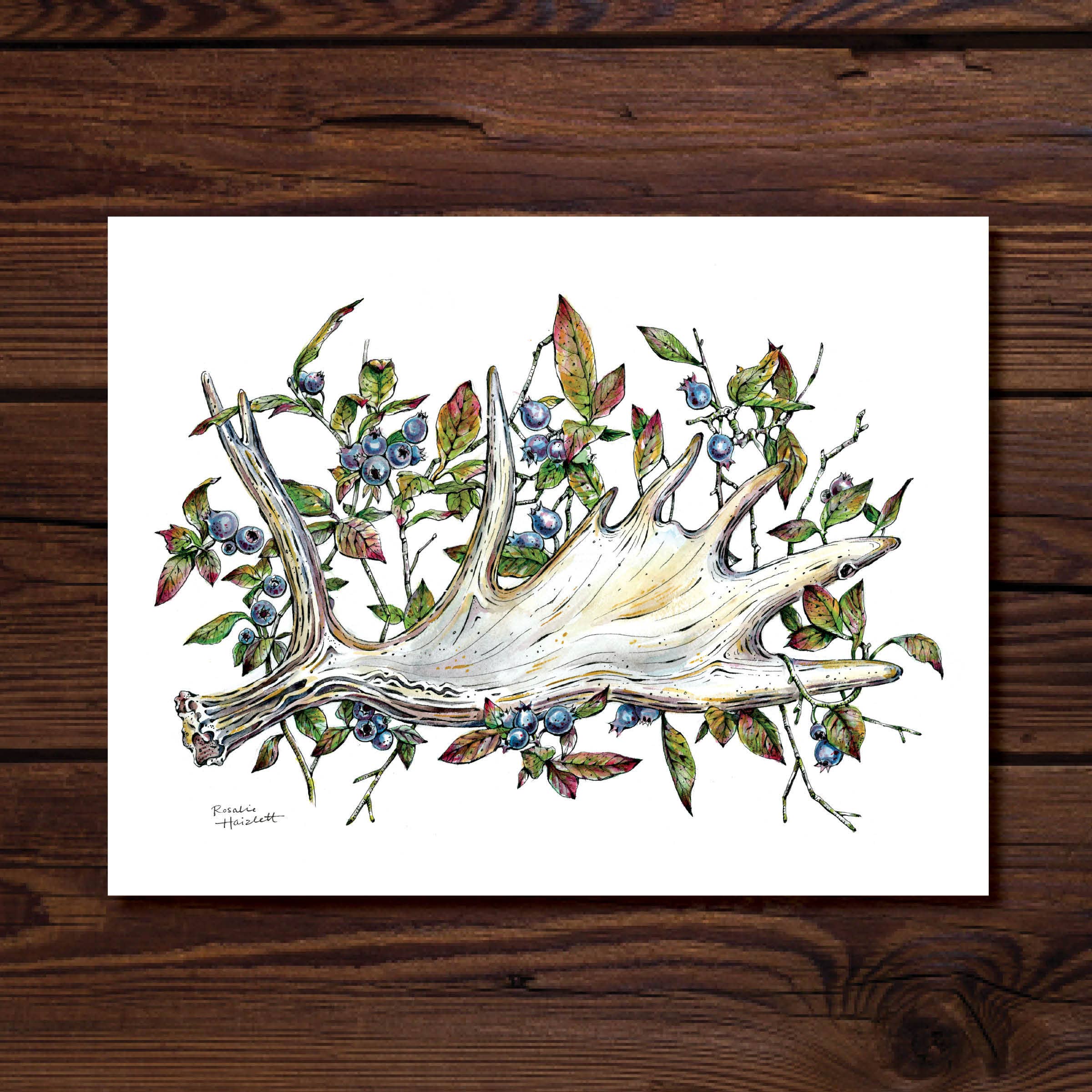 Rosalie Haizlett Illustration - Vendita all'ingrosso Stampa artistica - Stampa artistica ad acquerello con corna d'alce2