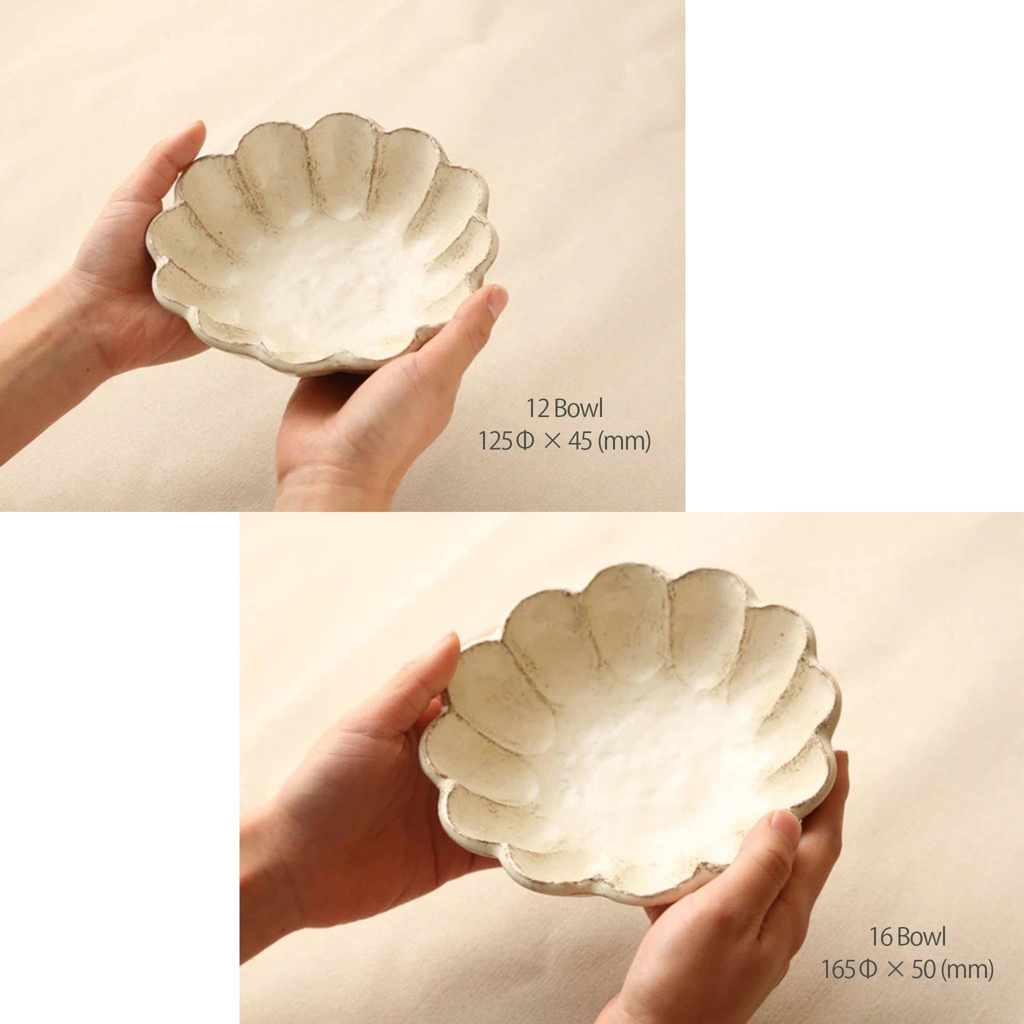 U PLUS INC - Wholesale Bowl - RINKA BOWL BY KANEKO KOHYO White Rinka Bowl Plate32