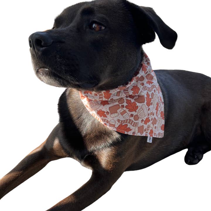 O tempo da camisola Bandana por atacado de The Maine Pooch LLC