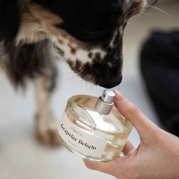 Pawness - Wholesale Pet spray – Dog - Dog Perfume Grapefur Delight (EU only)1