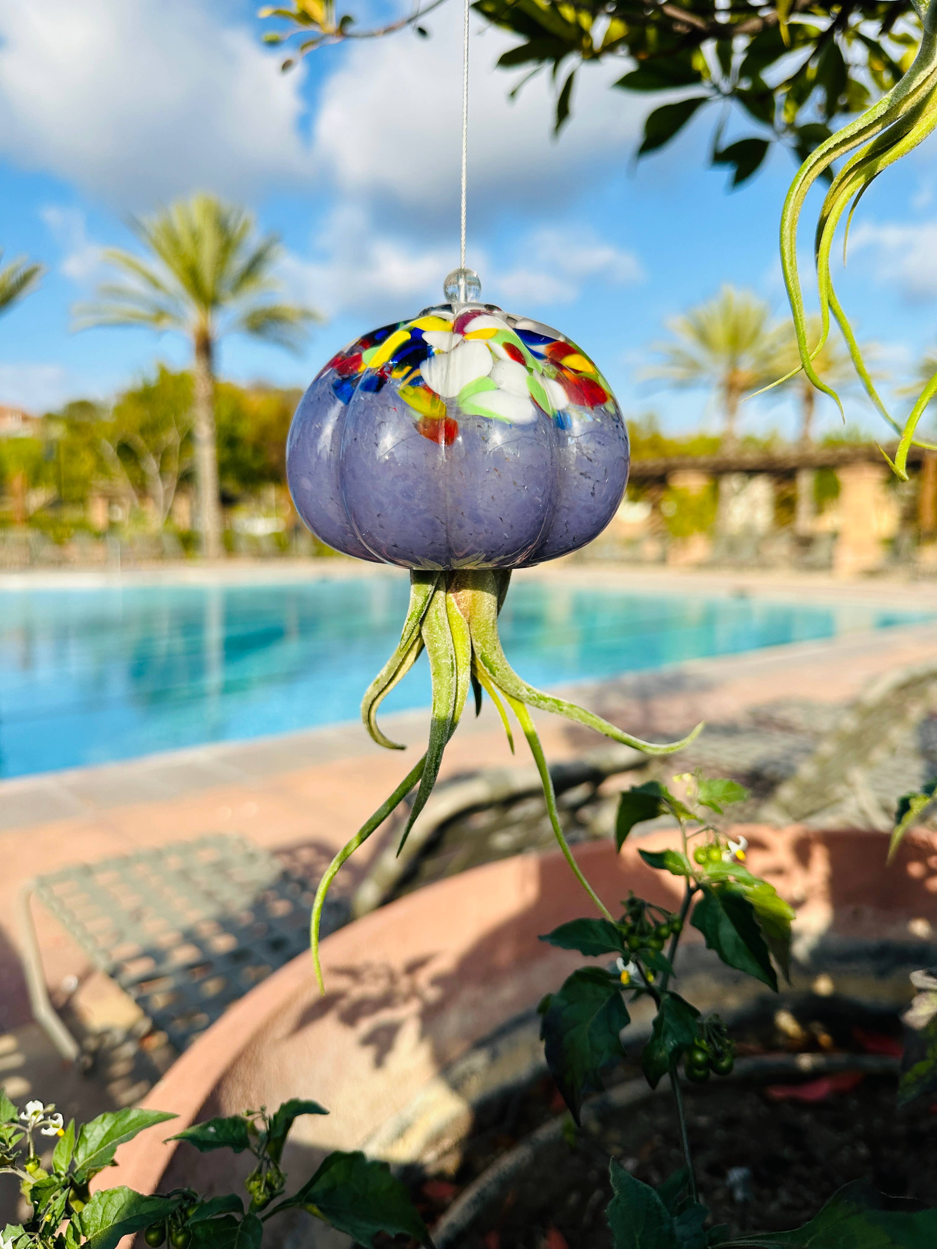 ApricotMint - Wholesale Hanging Planter - Cauliflower Jellyfish Air Plant Holder (plant not included)9