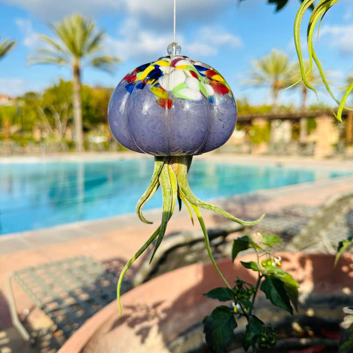 ApricotMint - Wholesale Hanging Planter - Cauliflower Jellyfish Air Plant Holder (plant not included)9