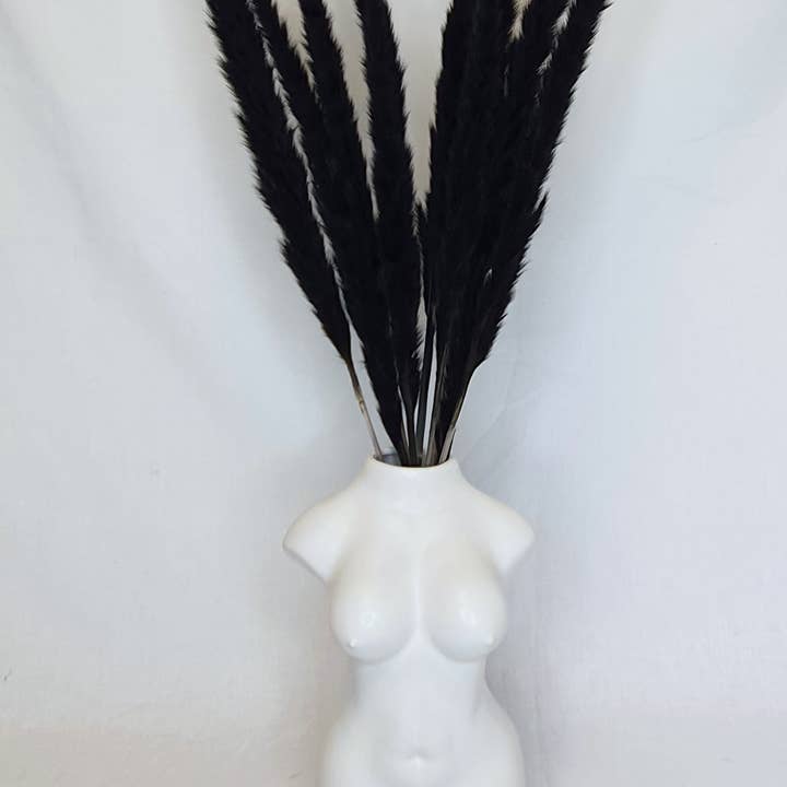 Opal Lily - Wholesale Dried/pressed flowers - Small Black Pampas Grass3