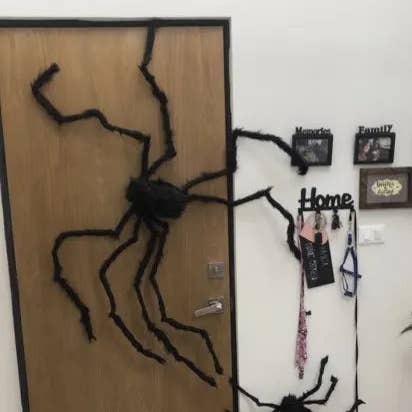Kate Tuesday Jewelry - Wholesale Outdoor Ornament/Decor - 3 Sizes Spider Halloween Decoration