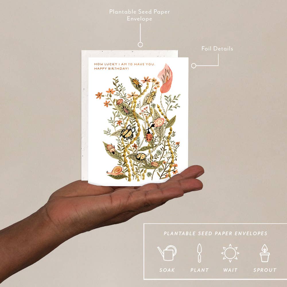 Seedlings - Wholesale Birthday Card - How Lucky I Am - Birthday Card1