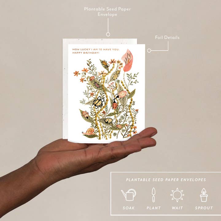 Seedlings - Wholesale Birthday Card - How Lucky I Am - Birthday Card1