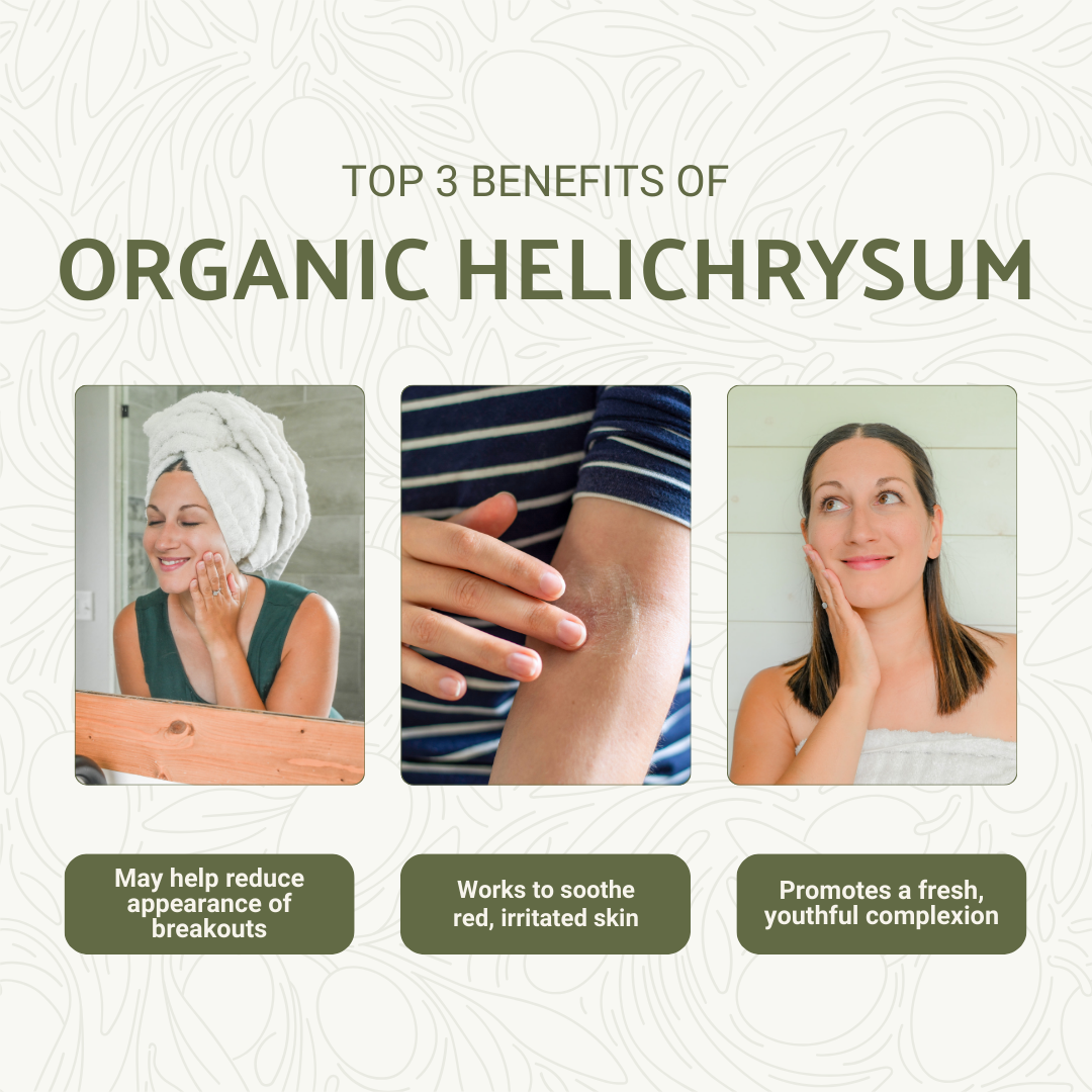 Nature Packaged – wholesale Essential oil – Organic Helichrysum Essential Oils- 100% Pure - Farm-Direct 2