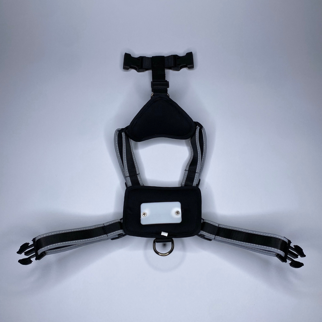 Puppy LED - Venta al por mayor Arnés - Perros - Arnés para perro con luces LED8