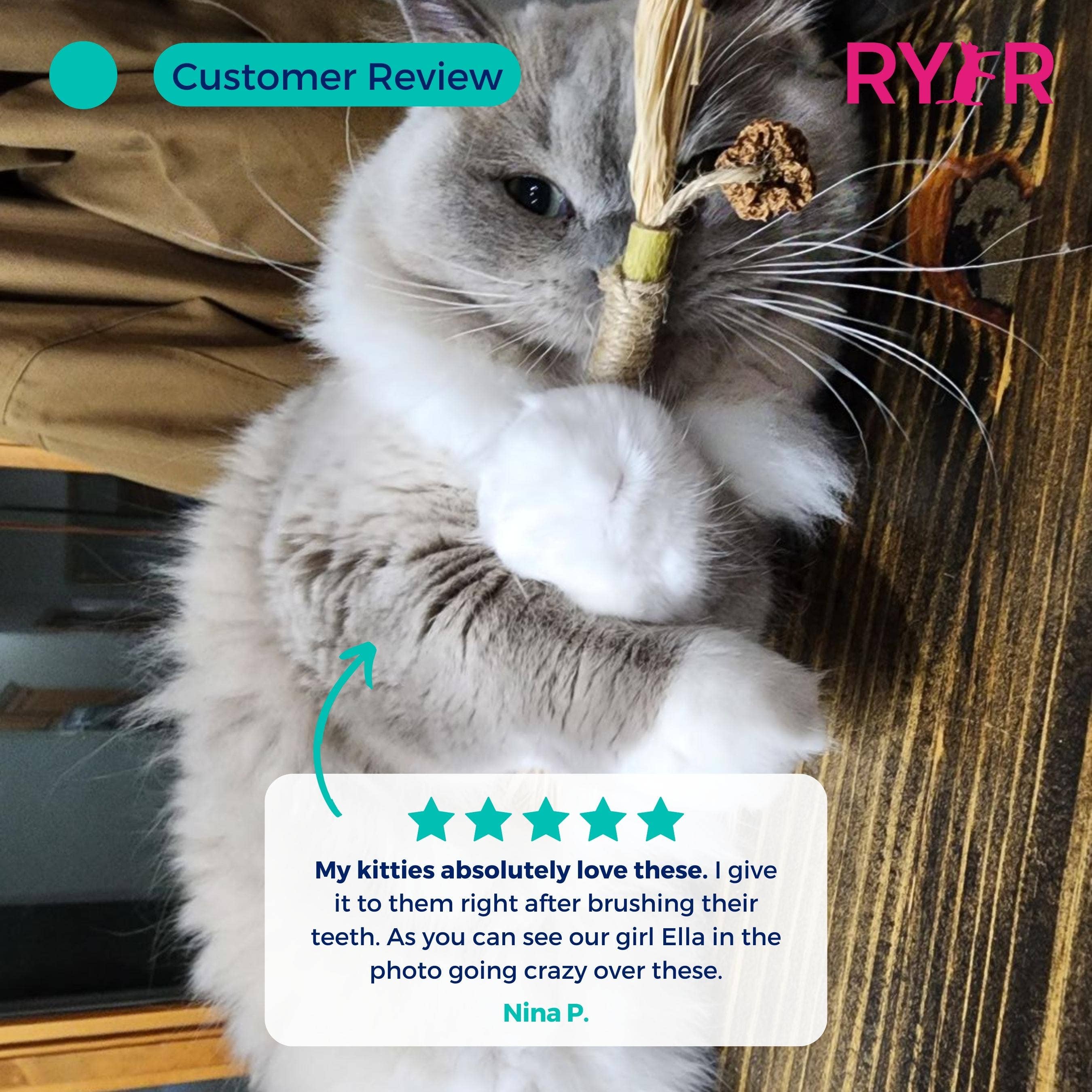 RYERCAT - Wholesale Pet Toy - Cat - Silvervine Cat Dental Sticks - Natural Dental Care (5 Pack)2