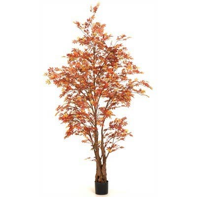 Studio Specialties - Wholesale Artificial Plant - 6' JAPANESE MAPLE TREE