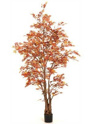 ÁRVORE DE BORDO JAPONÊS DE 6' por atacado de Studio Specialties