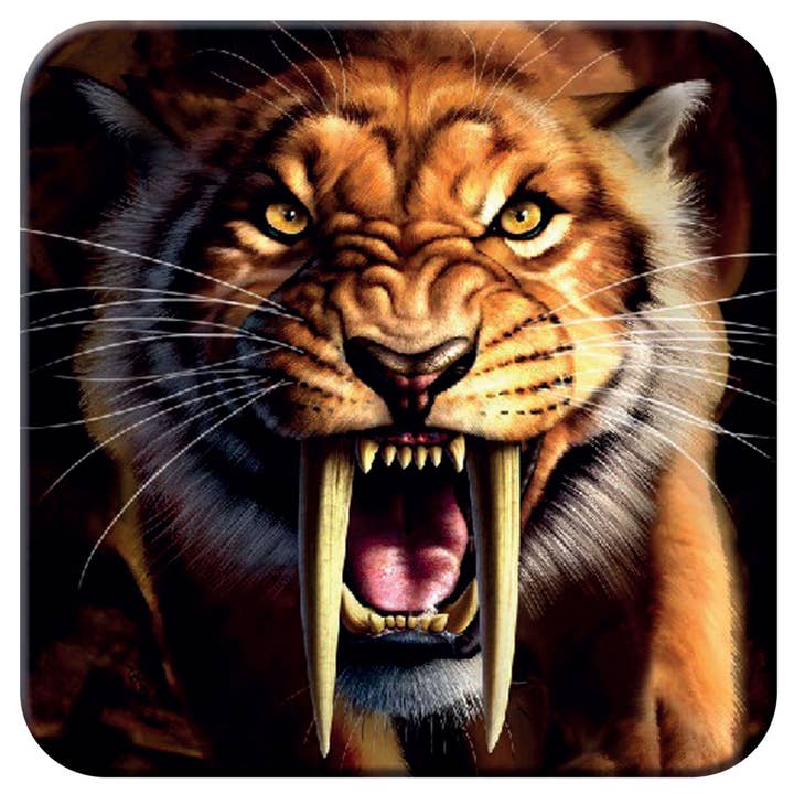Deluxebase - Wholesale Coasters - 3D LiveLife Cork Coasters - Sabertooth