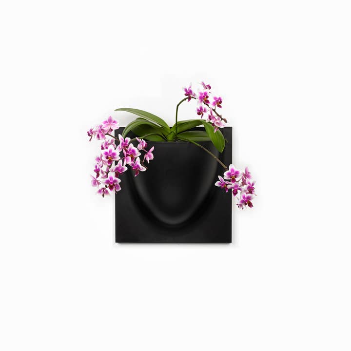 Nero Vaso da parete quadrato nero 30x30 cm - VertiPlants in vendita all'ingrosso su Faire3