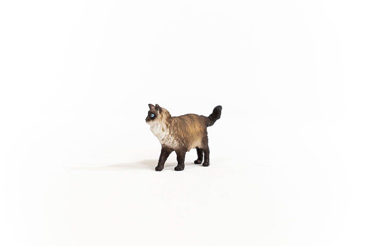 Schleich - Wholesale Figurine Toy - Kids - Ragdoll Cat Farm Animal Toy1