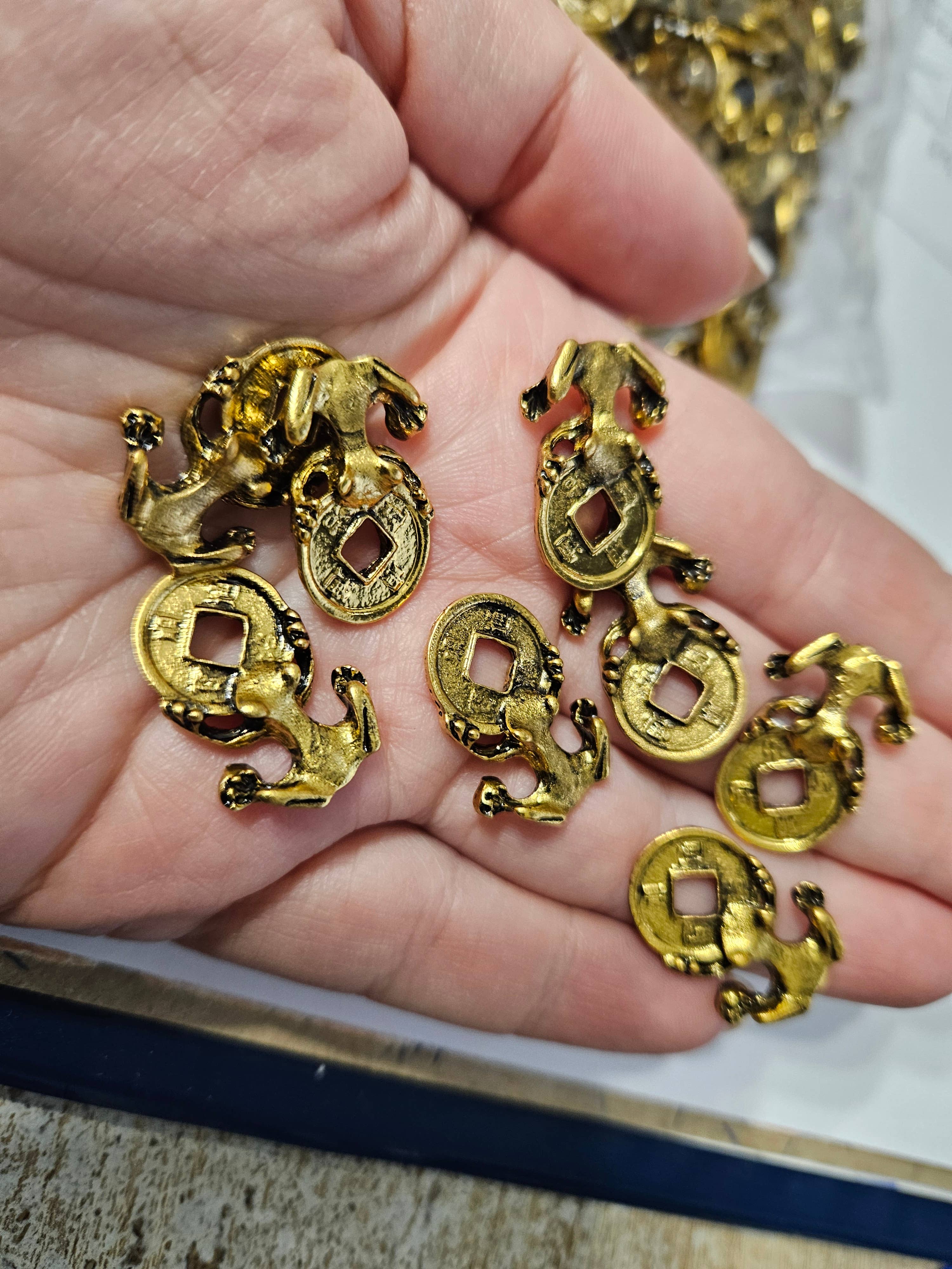 AmberLithuania – Moeda colecionável por atacado – sapo de dinheiro sapo walet5