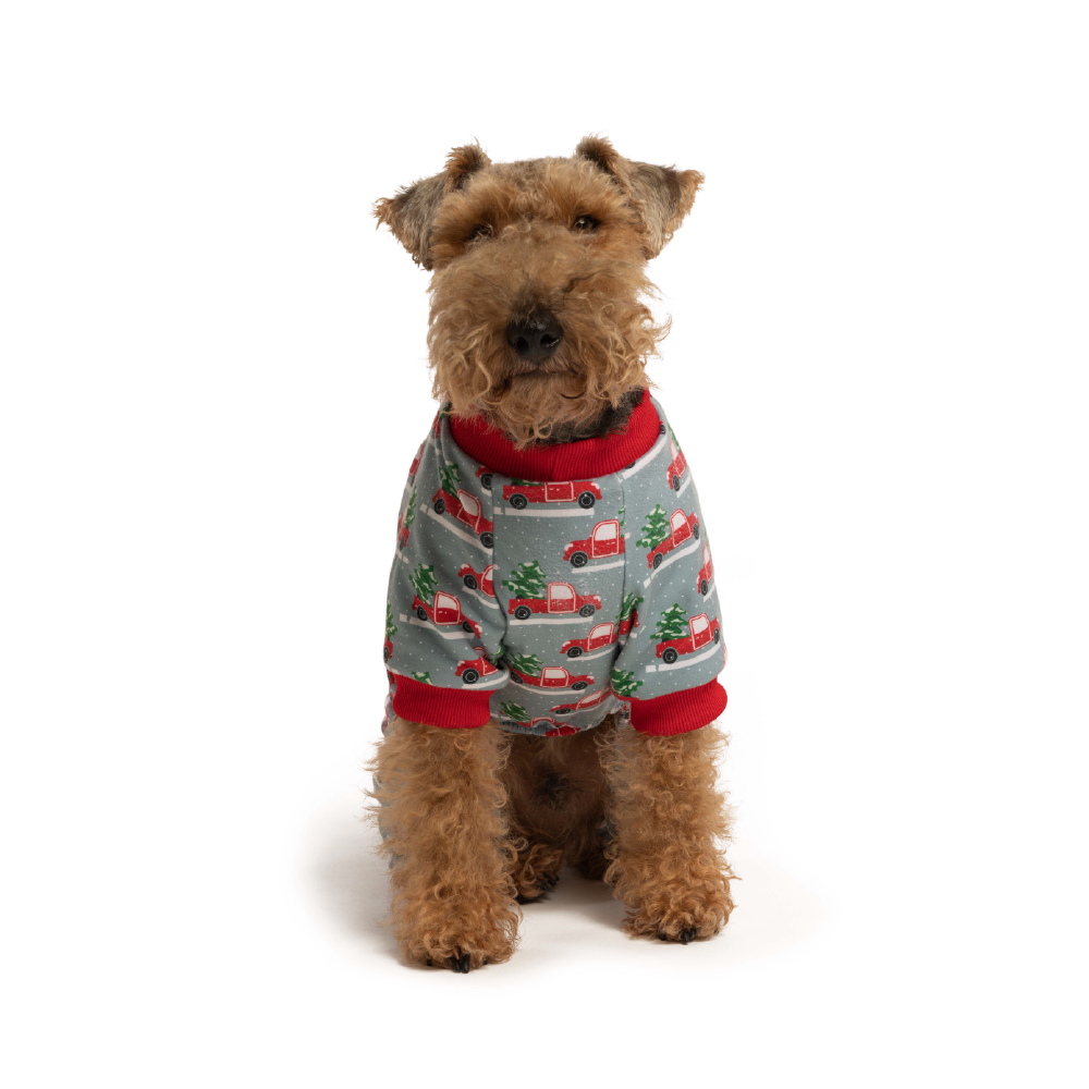 fabdog - Wholesale Pet Pajamas - Dog - X-Mas Truck Onesie2