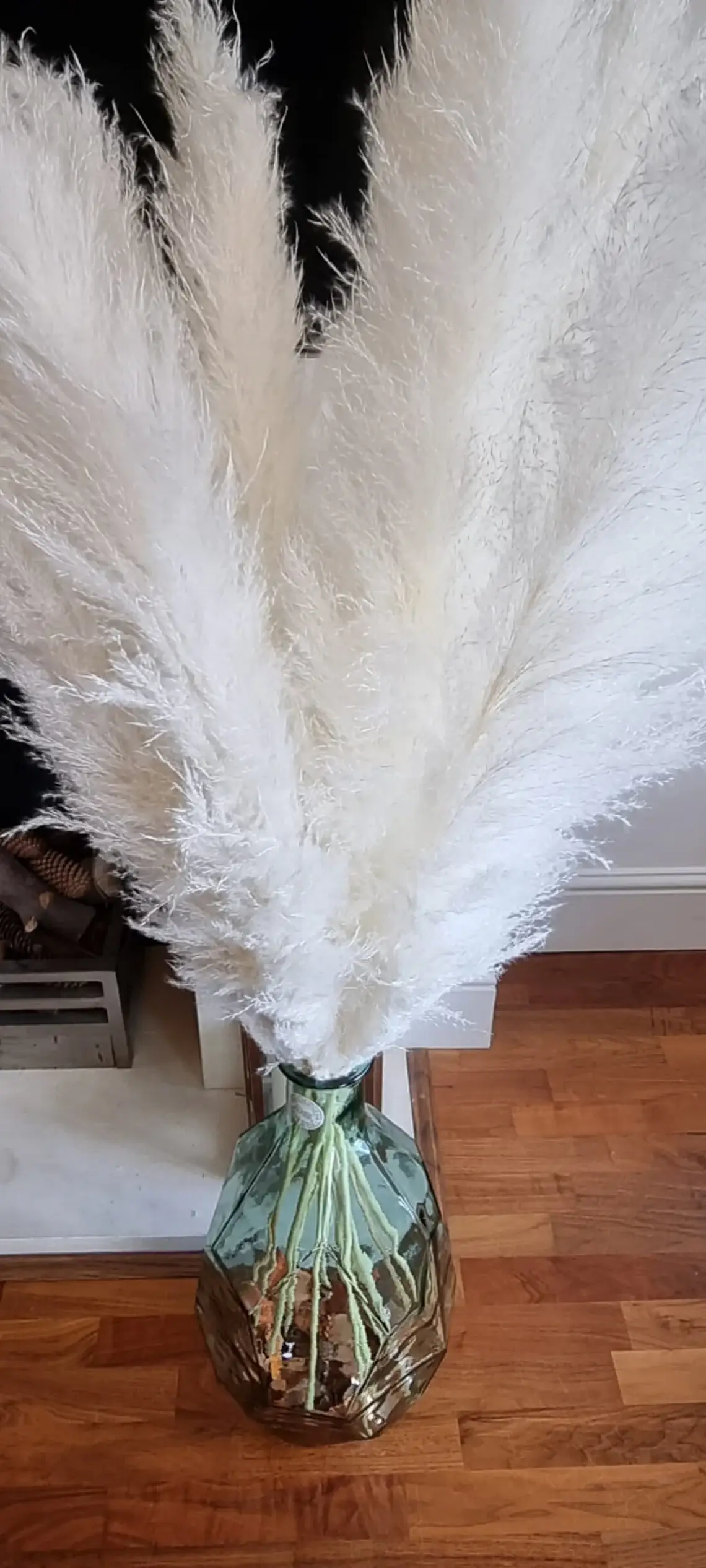 LoveProducts Ltd - Wholesale Dried/Pressed Flowers - Pampas Grass White Large Fluffy Dried Reed home decor Boho6