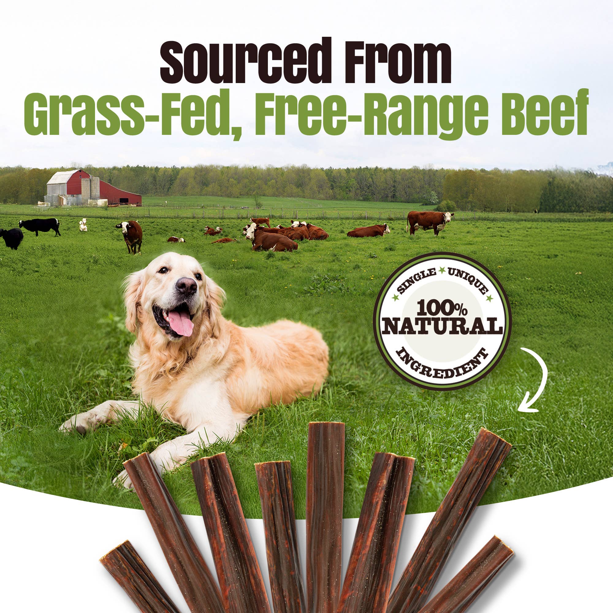 Palz&Co - Wholesale Pet Treats - Dog - Moodog Beef Gullet Sticks 6"-12" - Pack of 2512
