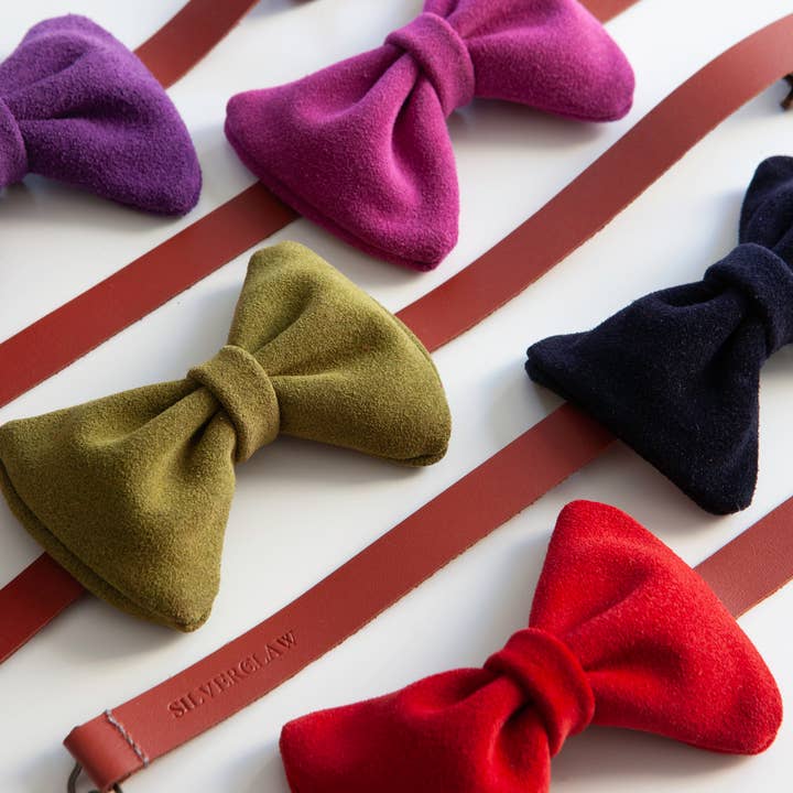 WAVERLY (Cow suede bow tie) for wholesale by SILVERCLAW