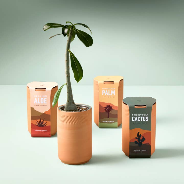 Modern Sprout - Wholesale Plant Seeds - Terracotta Grow Kit