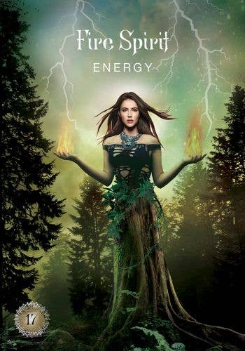 Cardshouse - Wholesale Tarot Cards - Sacred Forest Oracle Cards Hay House7