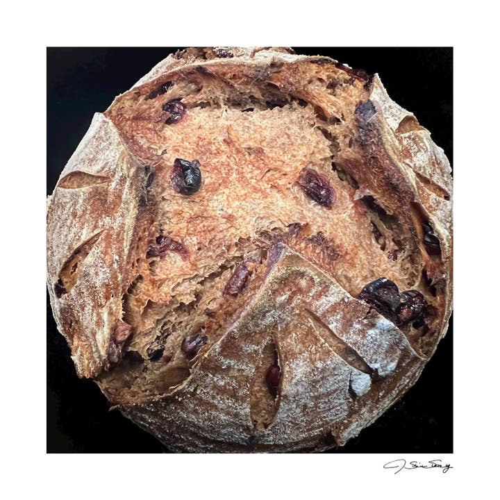 Sourdough Raisin for wholesale by Signature Image Gallery