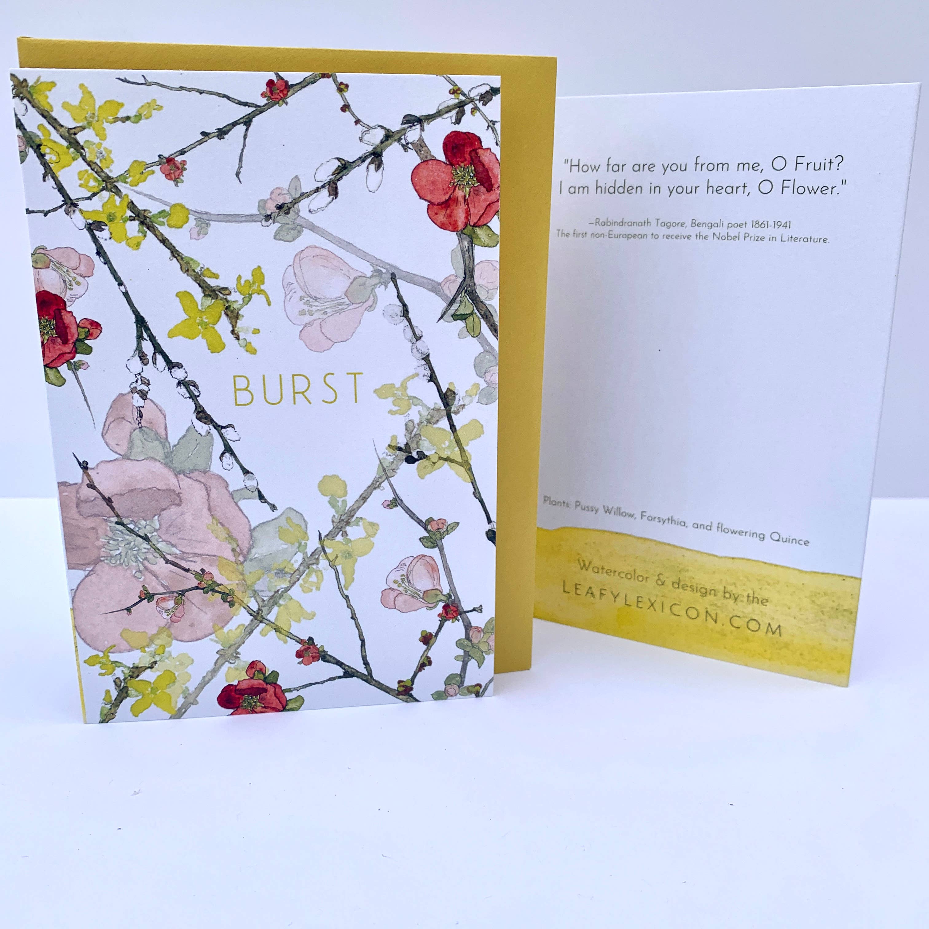 Leafy Lexicon - Wholesale Everyday Greeting Card - Burst! greeting card2