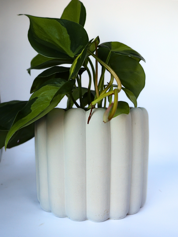 The Plant Supply - Wholesale Plant Pot - Scallop Planter - 4.5" | Concrete Plant Pot5
