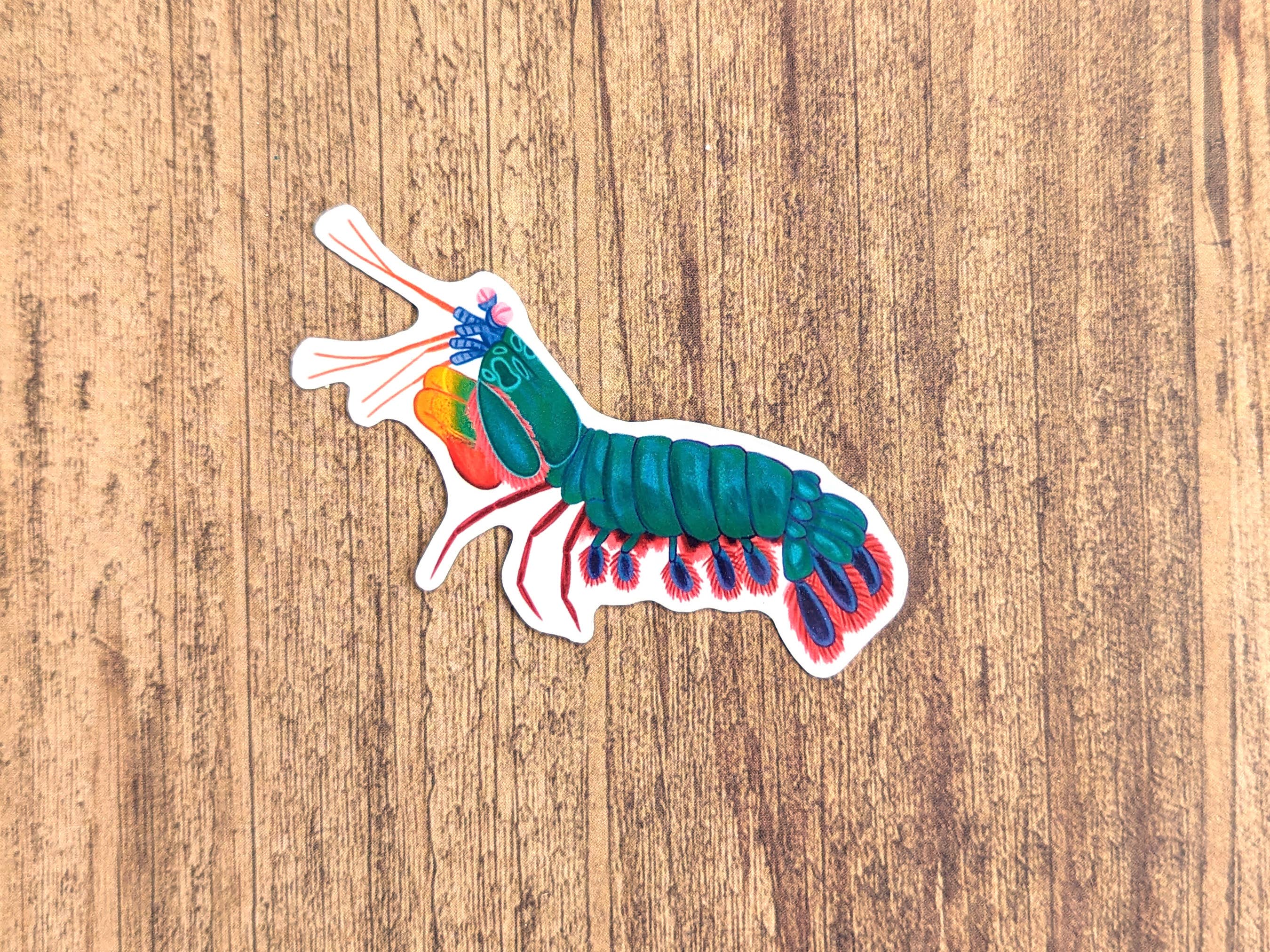Proper Wolf - Wholesale Sticker - Mantis Shrimp Vinyl Sticker Decal2