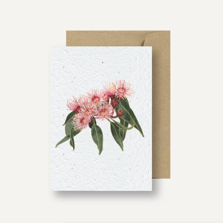 treasureinventory - Wholesale Everyday greeting card - Australian Icon's // Plantable Cards // Pk of 27 Cards10