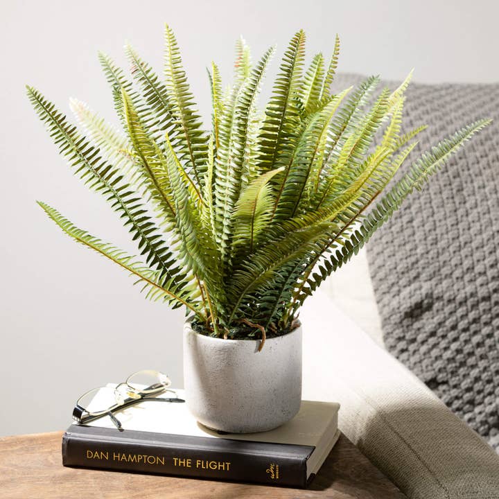 Sullivans Home Decor - Wholesale Artificial Plant - Potted Fern