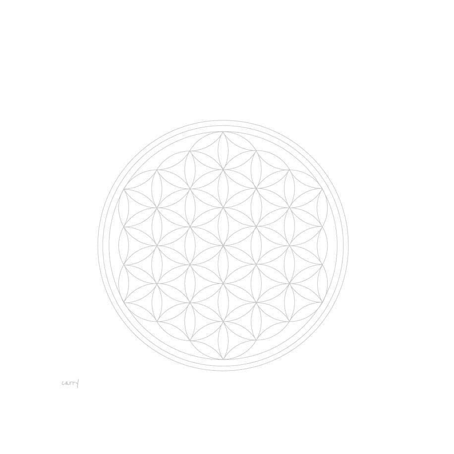 Carry Bottles - Wholesale Water Bottle - Glass Water Bottle - CARRY Bottle FLOWER OF LIFE 0.7l2