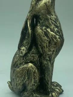 Star Gazer for wholesale by ABitQuackers