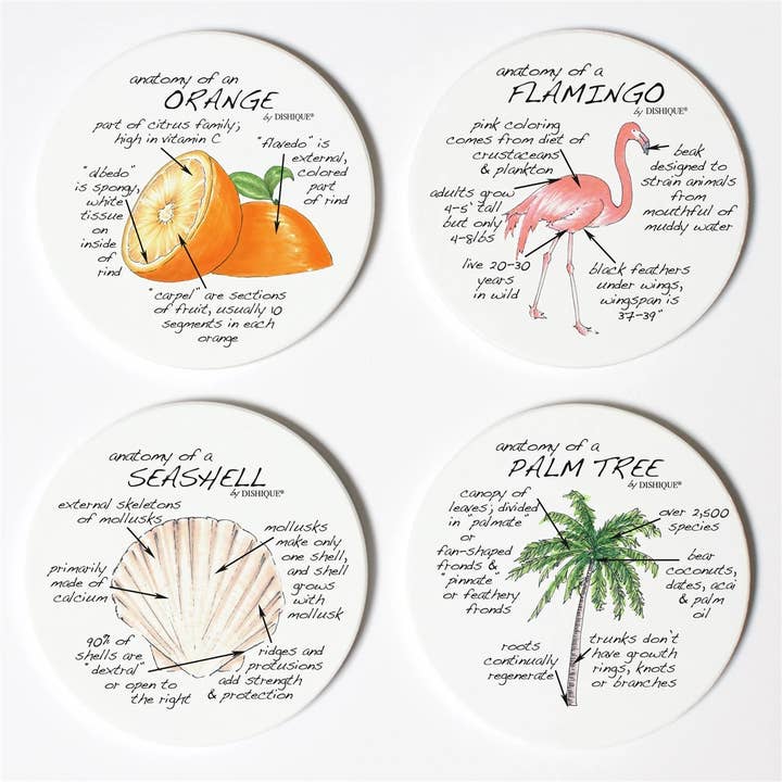 Dishique - Wholesale Coasters - Florida Anatomy Coasters