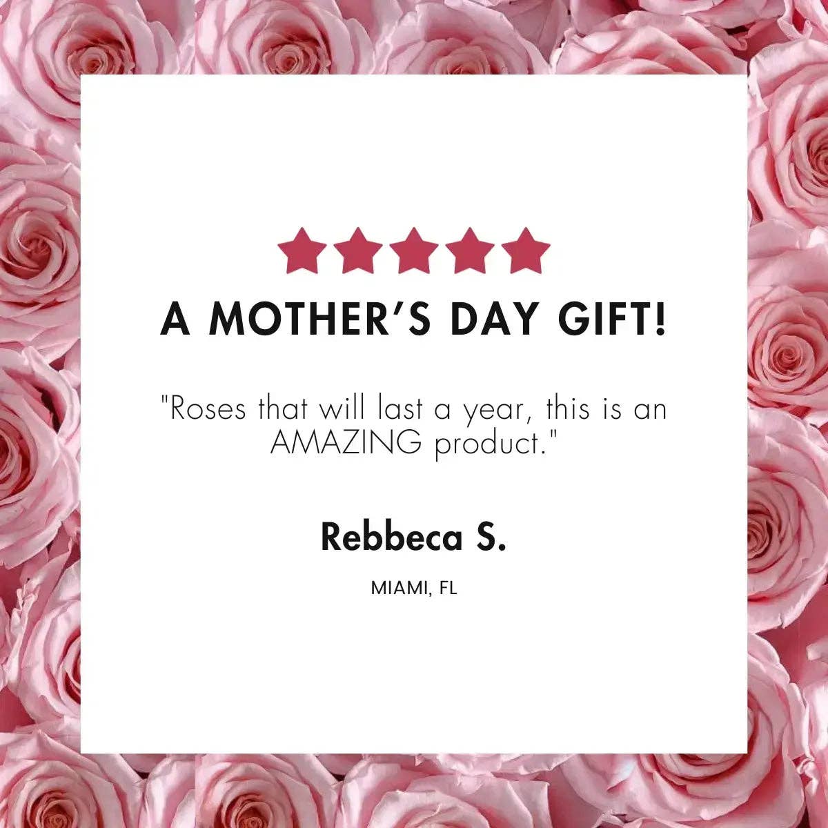 Rose Forever - Wholesale Dried/Pressed Flowers - 9 Pink Roses Suede – Timeless Floral Box3