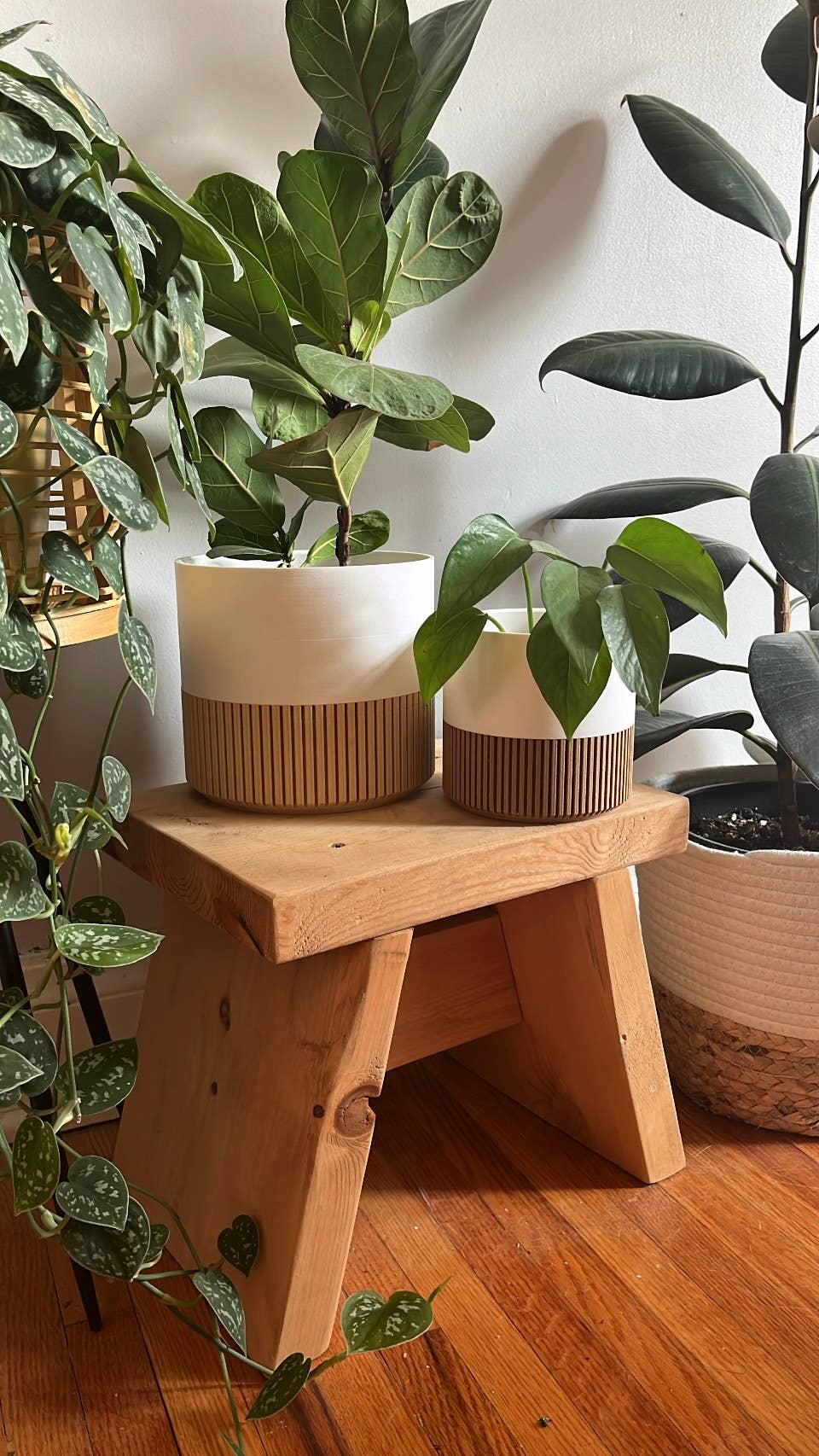 Prairie City Printing Co. – wholesale Kruka – Tvåfärgad trä- och färgkruka3