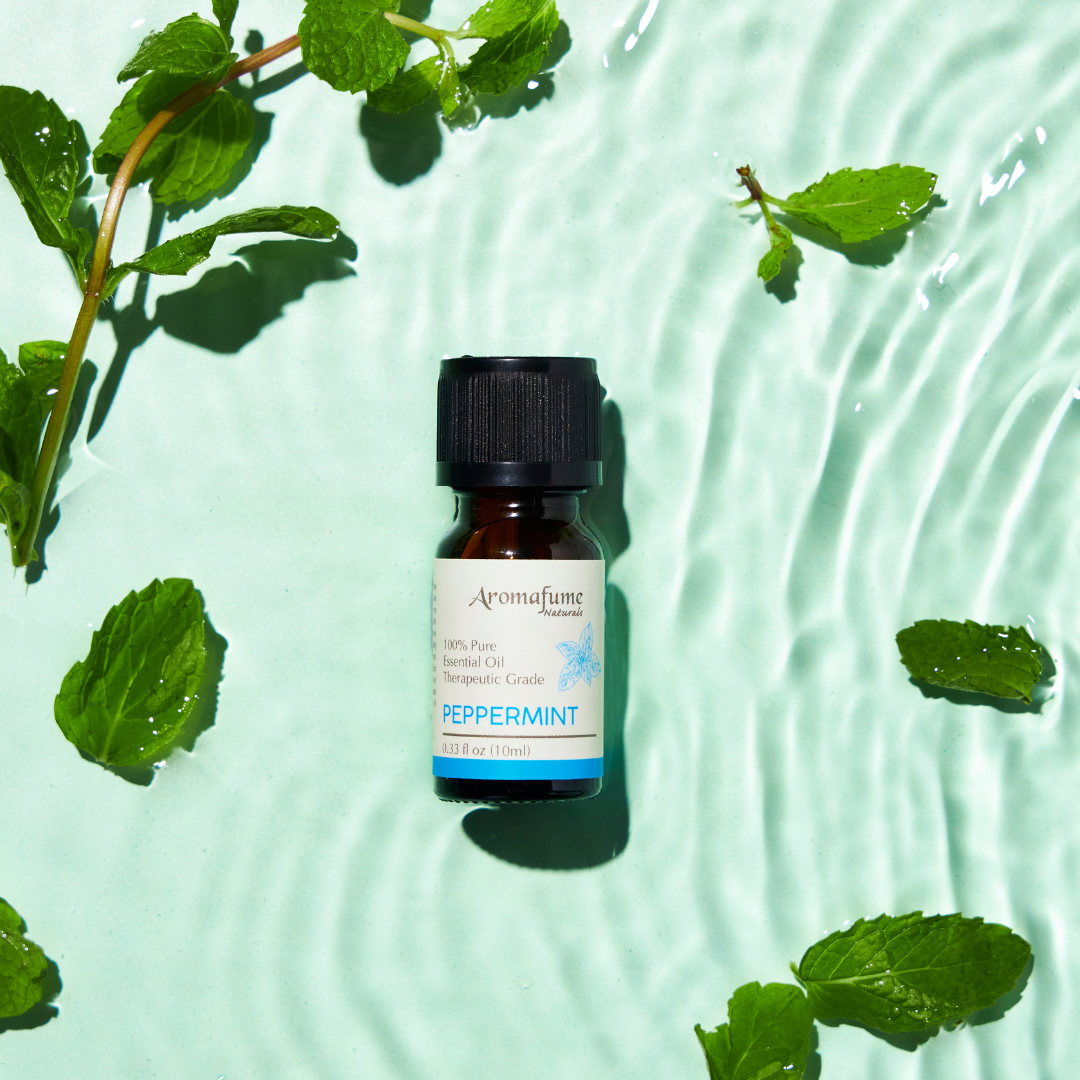 Aromafume - Wholesale Essential Oil - Peppermint Essential Oil | 100% Pure Aromatherapy Oil1