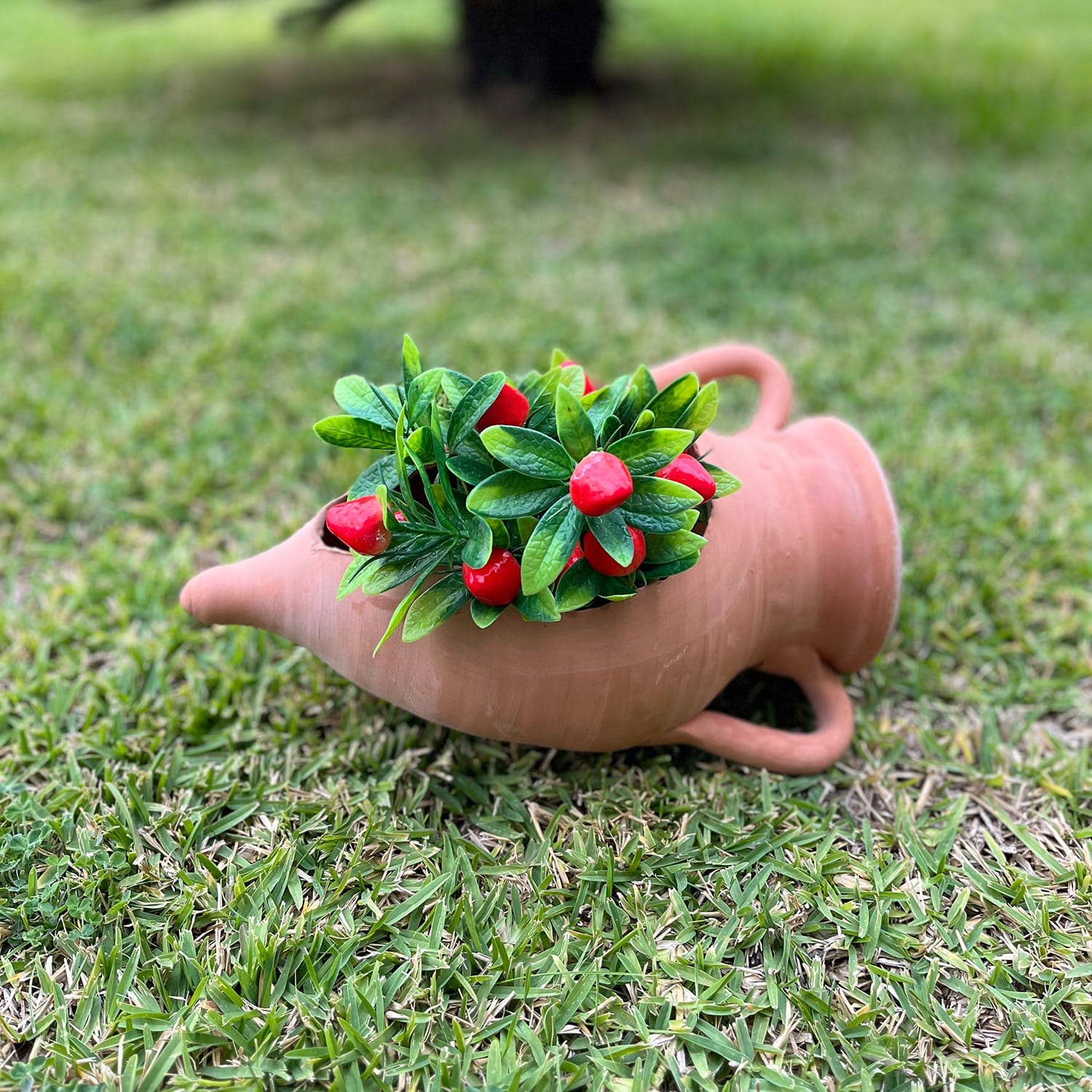 Etnico del Mondo - Wholesale Plant Pot - Engraved Pointed Amphora in Terracotta4