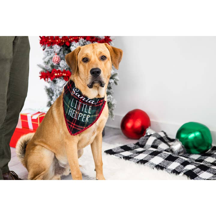 Pearhead - Vente Bandana – chien - Bandana de Noël à carreaux pour chien "Le Petit Aide du Père Noël", M/L4