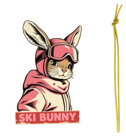 Sofs Designs - Wholesale Ornament - Wood Ornament or coasters. Check different Ski options12