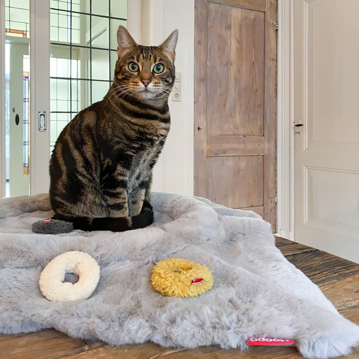 Hoopo - Wholesale Pet Bed - Cat - Flip Cat bed5