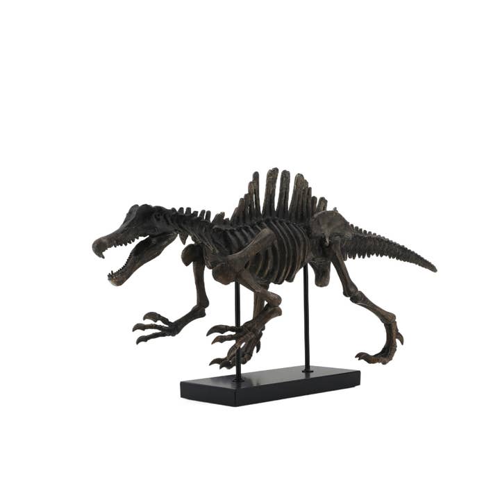 Modern World by Contrast Inc. - Wholesale Decorative Figurine - Spinosaurus Dinosaur Fossil4