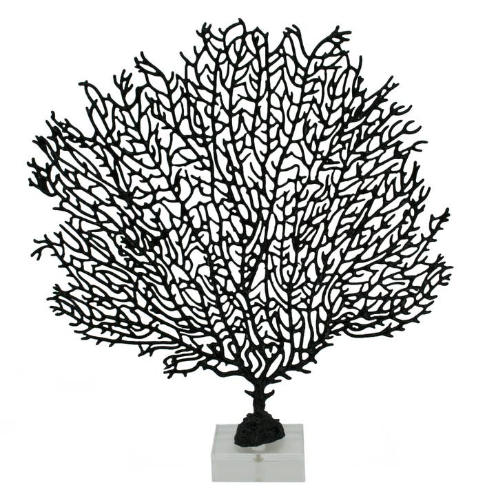 Black Sea Fan with Clear Glass Base for wholesale by Modern World by Contrast Inc.