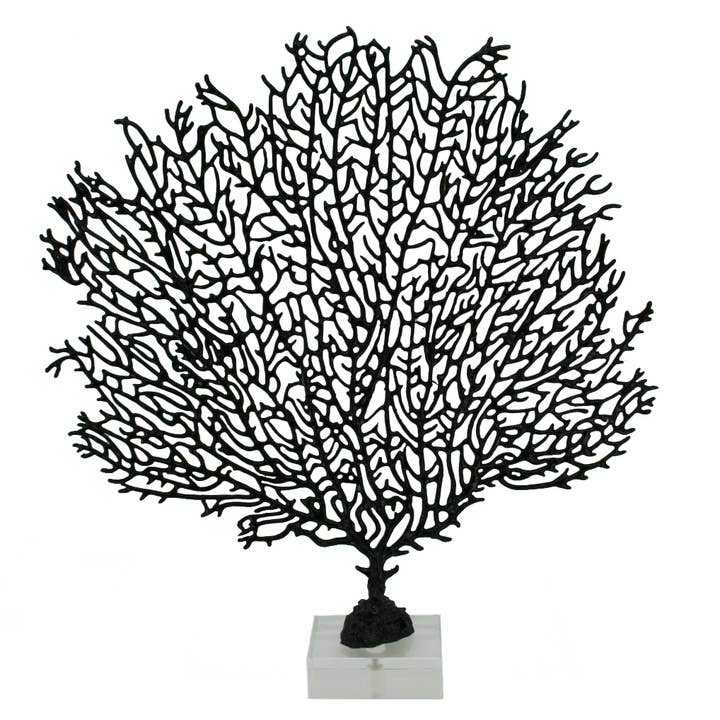 Modern Coastal by Contrast Inc. - Wholesale Decorative Tabletop Object - Black Metal Sea Fan