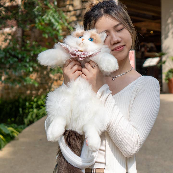 Chongker - Wholesale Stuffed/Plush Toy - Kids & Baby - Ragdoll Cat Backpack – Cozy Companion for Travel & School4