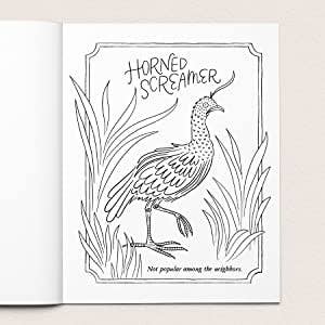 Your Very Favorite - Wholesale Coloring Book - Adult - 30 Dirty Birdies: An Adult Coloring Book