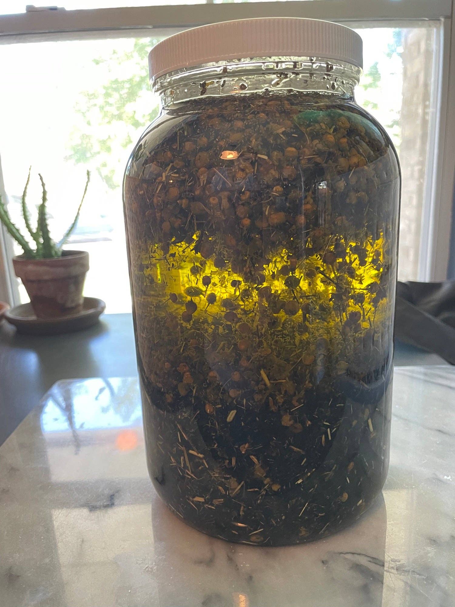 Folk Potions - Wholesale Bath/Body Oil - Vagus Nerve Support Oil3