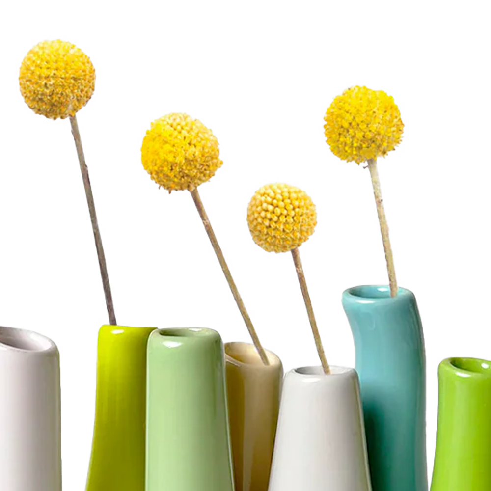 Chive - Wholesale Vase - Pooley Colorful Bud Vase For Flower Arranging Rectangular56